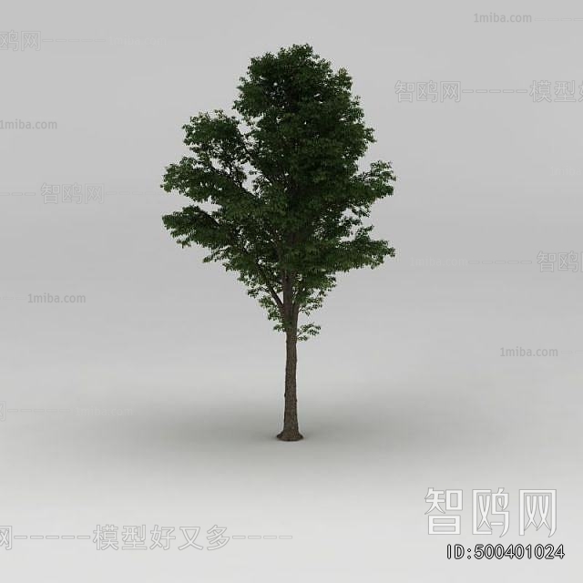 Modern Tree/shrub/grass