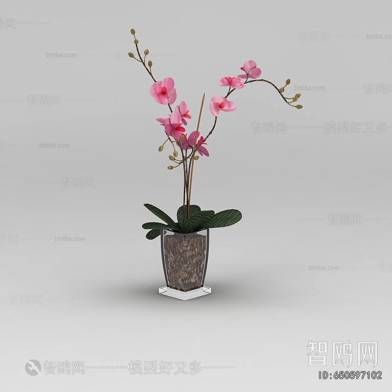 Modern Potted Green Plant