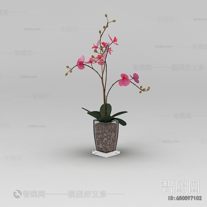 Modern Potted Green Plant