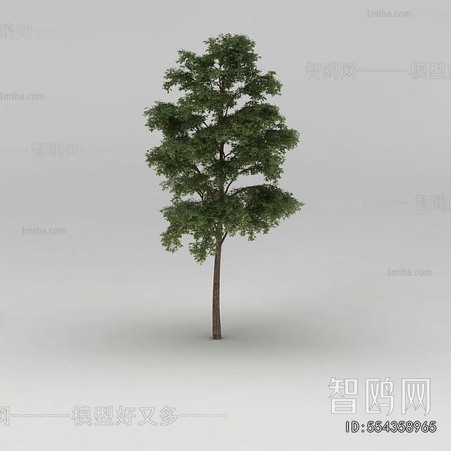 Modern Tree