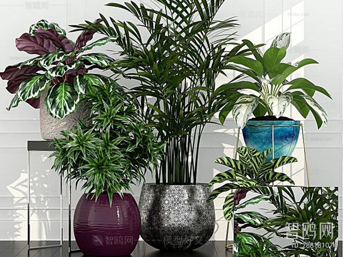 Modern Potted Green Plant