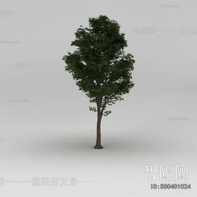 Modern Tree/shrub/grass