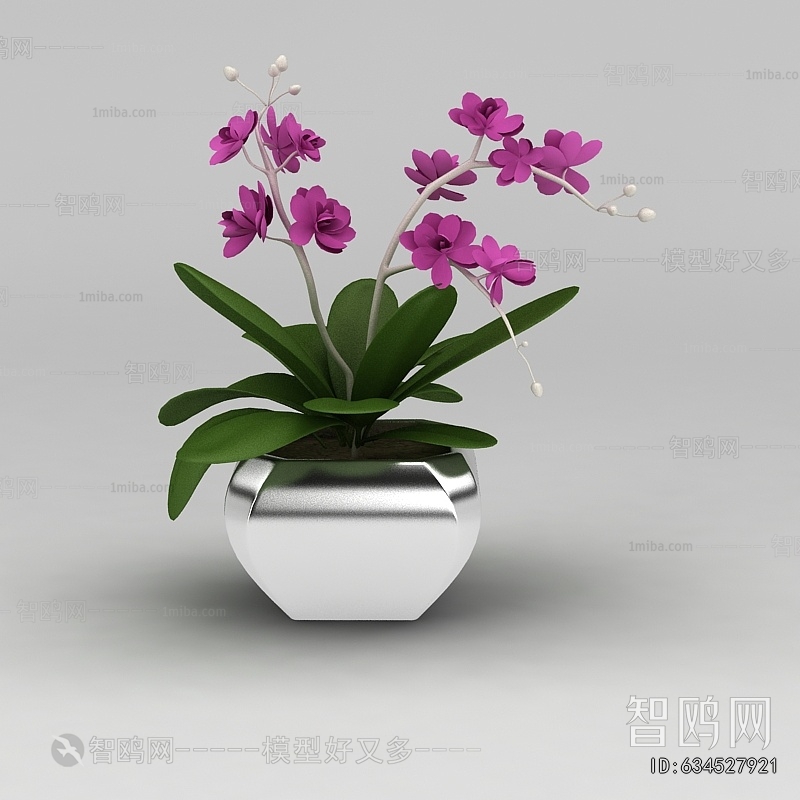 Modern Potted Green Plant