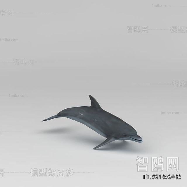 Modern Aquatic Animals