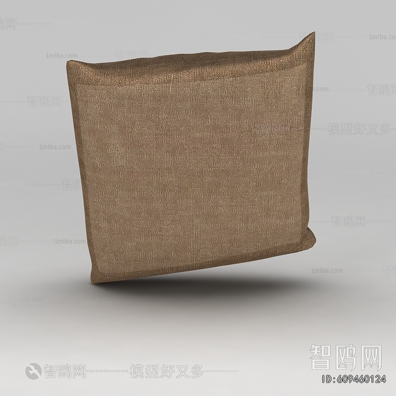 Modern Pillow