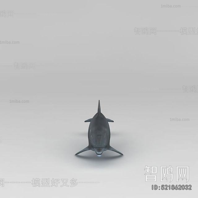 Modern Aquatic Animals