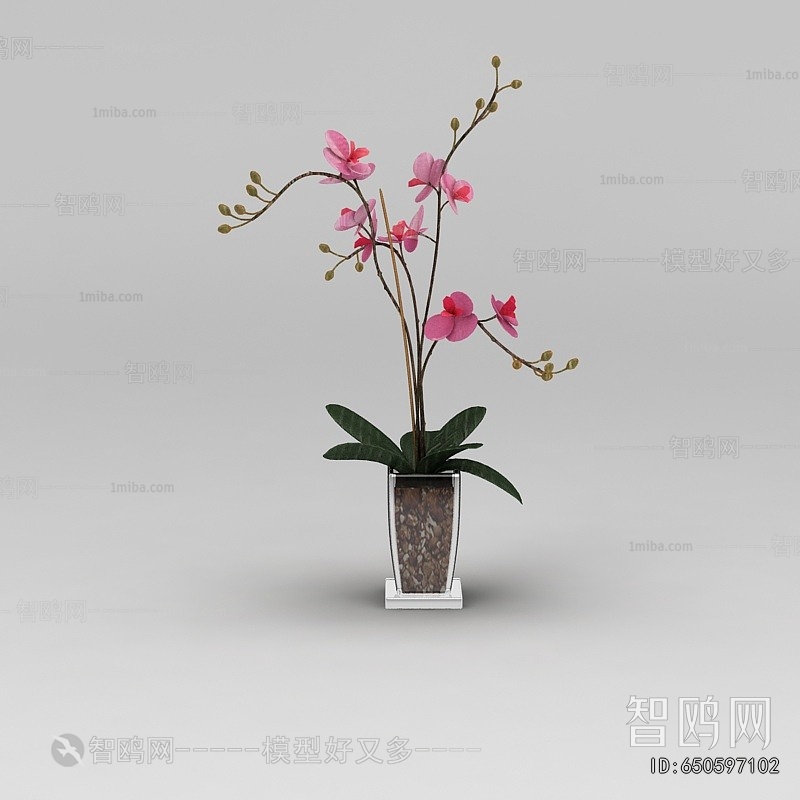 Modern Potted Green Plant