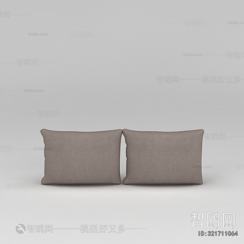 Modern Pillow