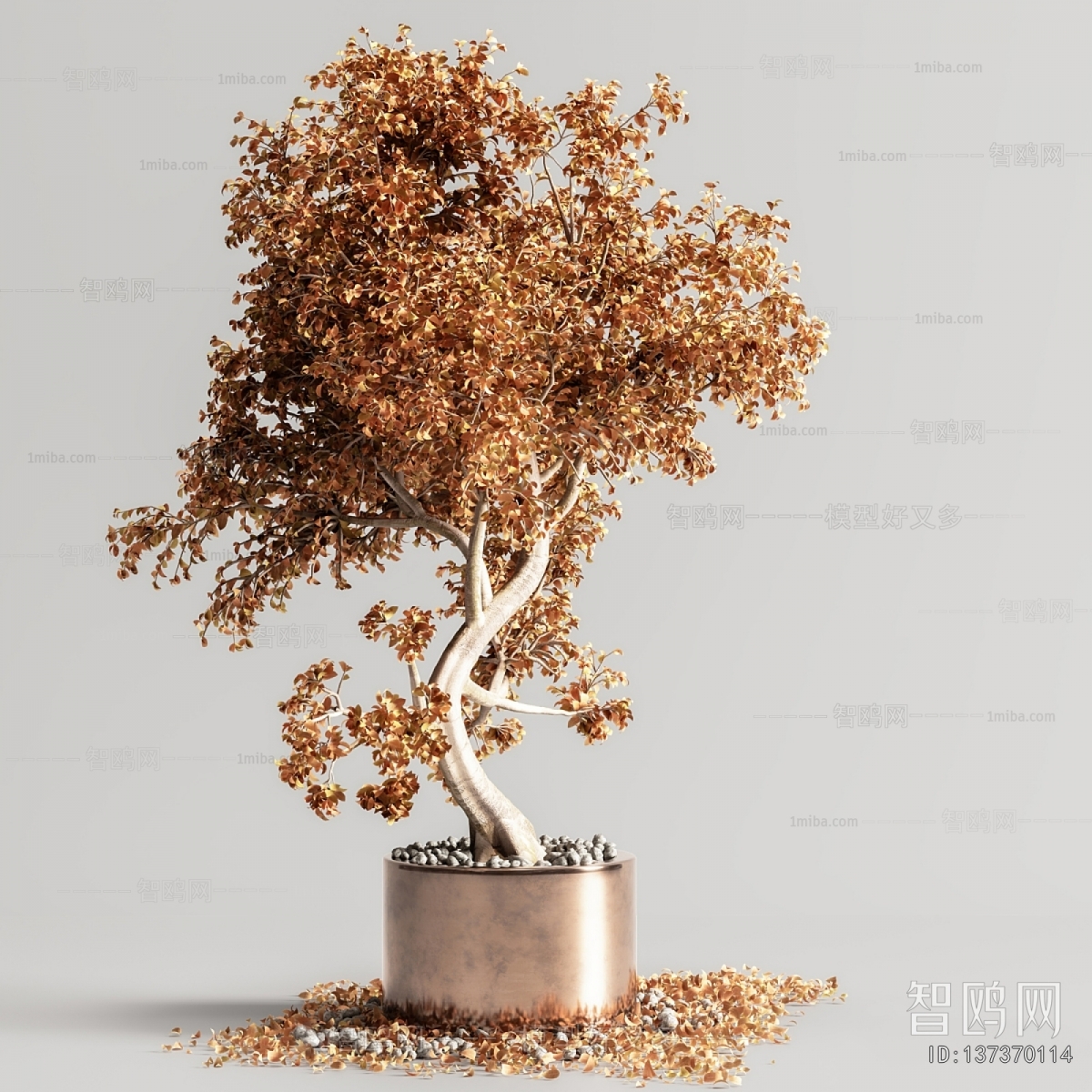 Modern Bonsai