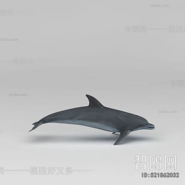 Modern Aquatic Animals