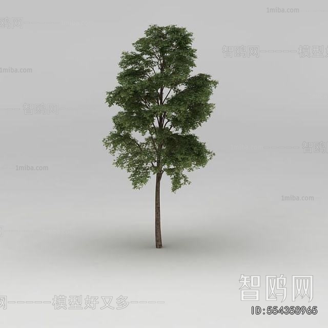 Modern Tree