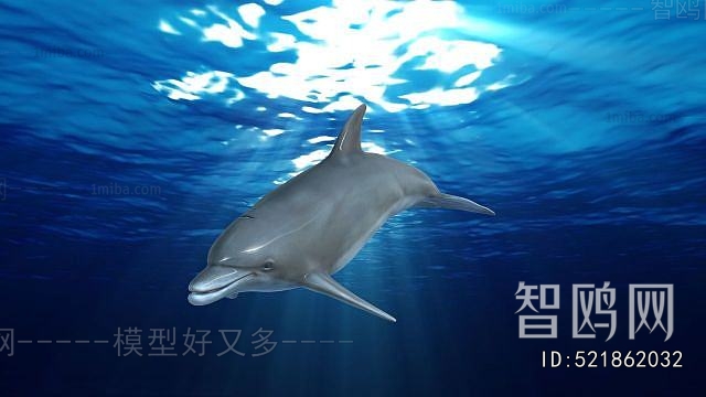 Modern Aquatic Animals