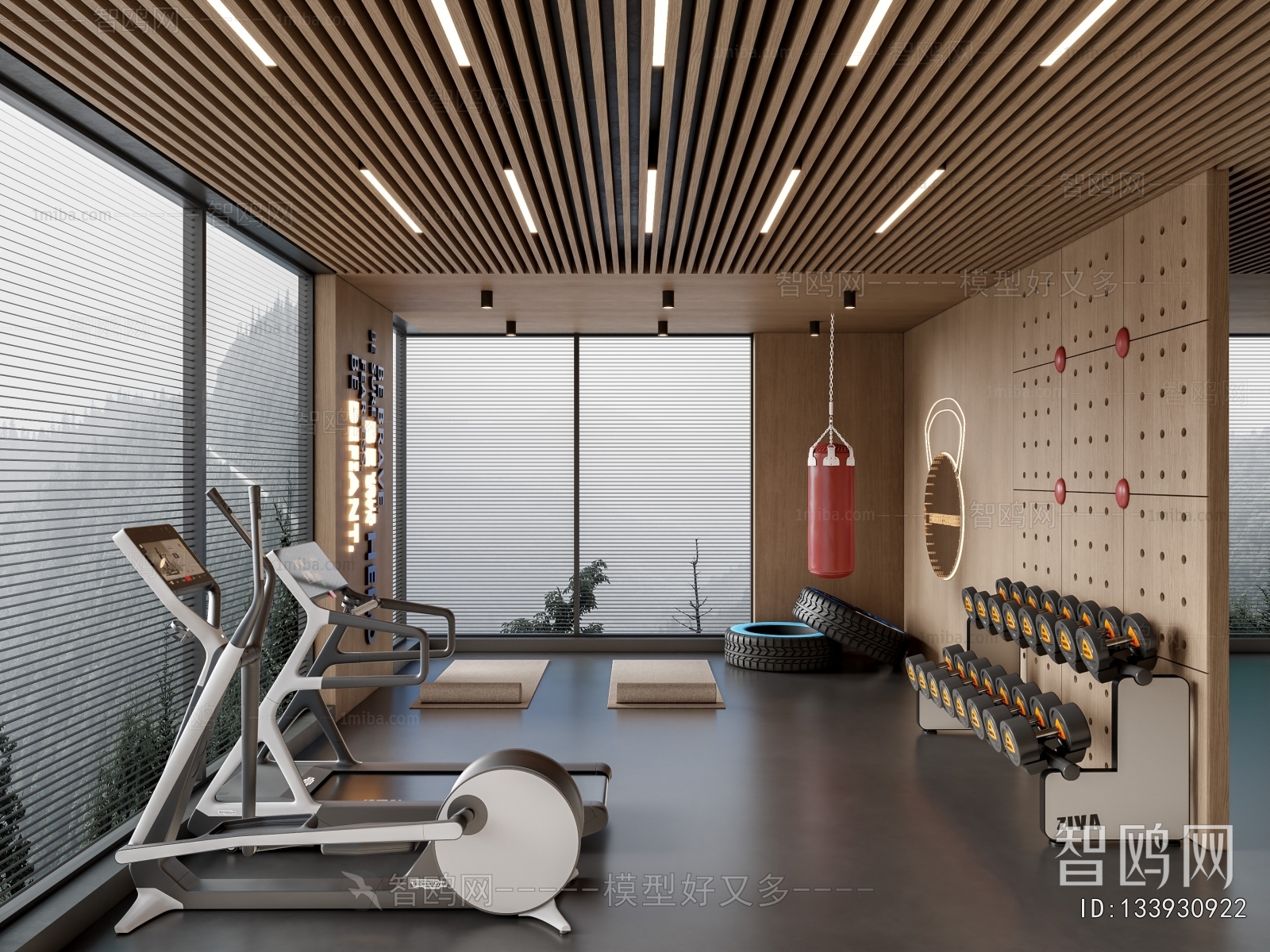 Modern Gym