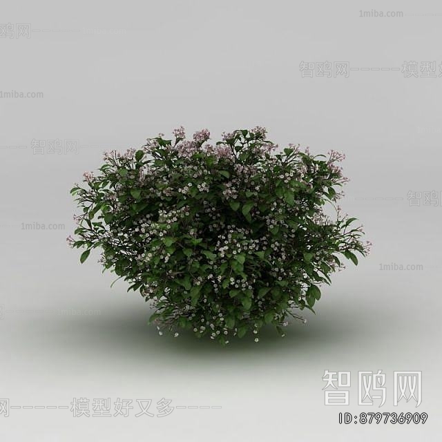 Modern Shrubbery