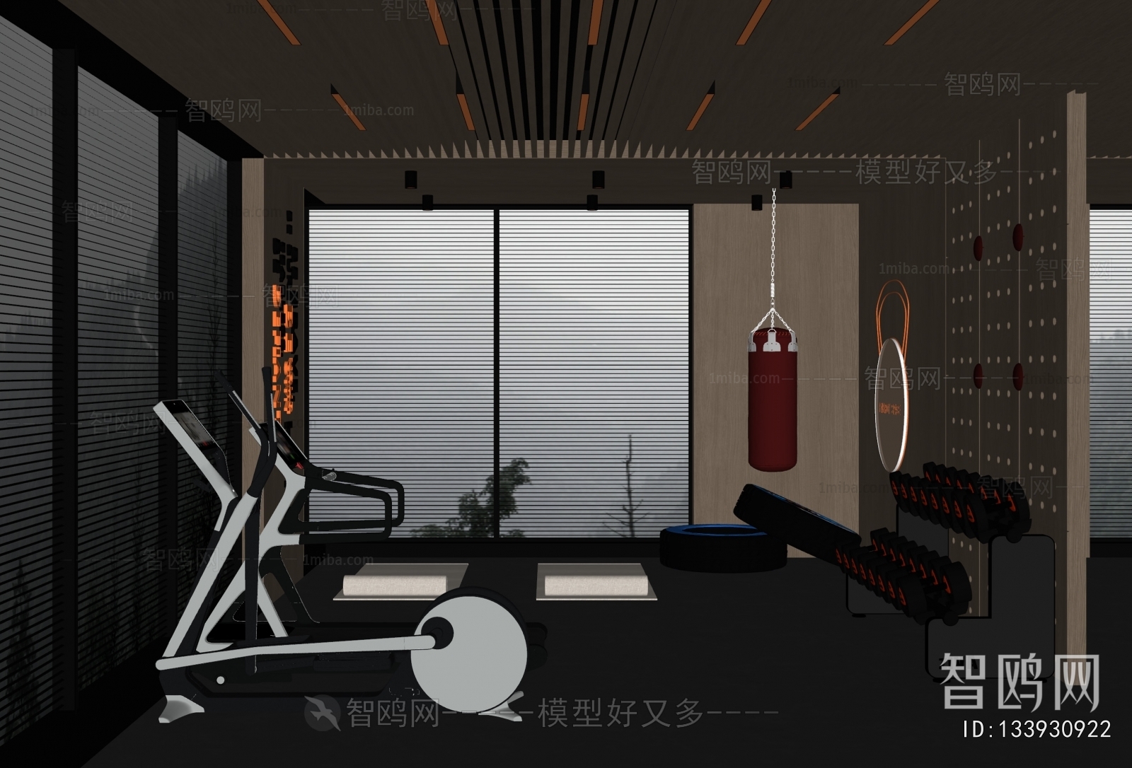 Modern Gym