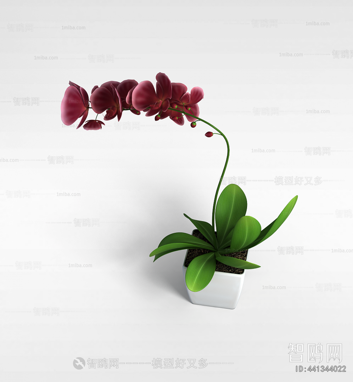 Modern Potted Green Plant