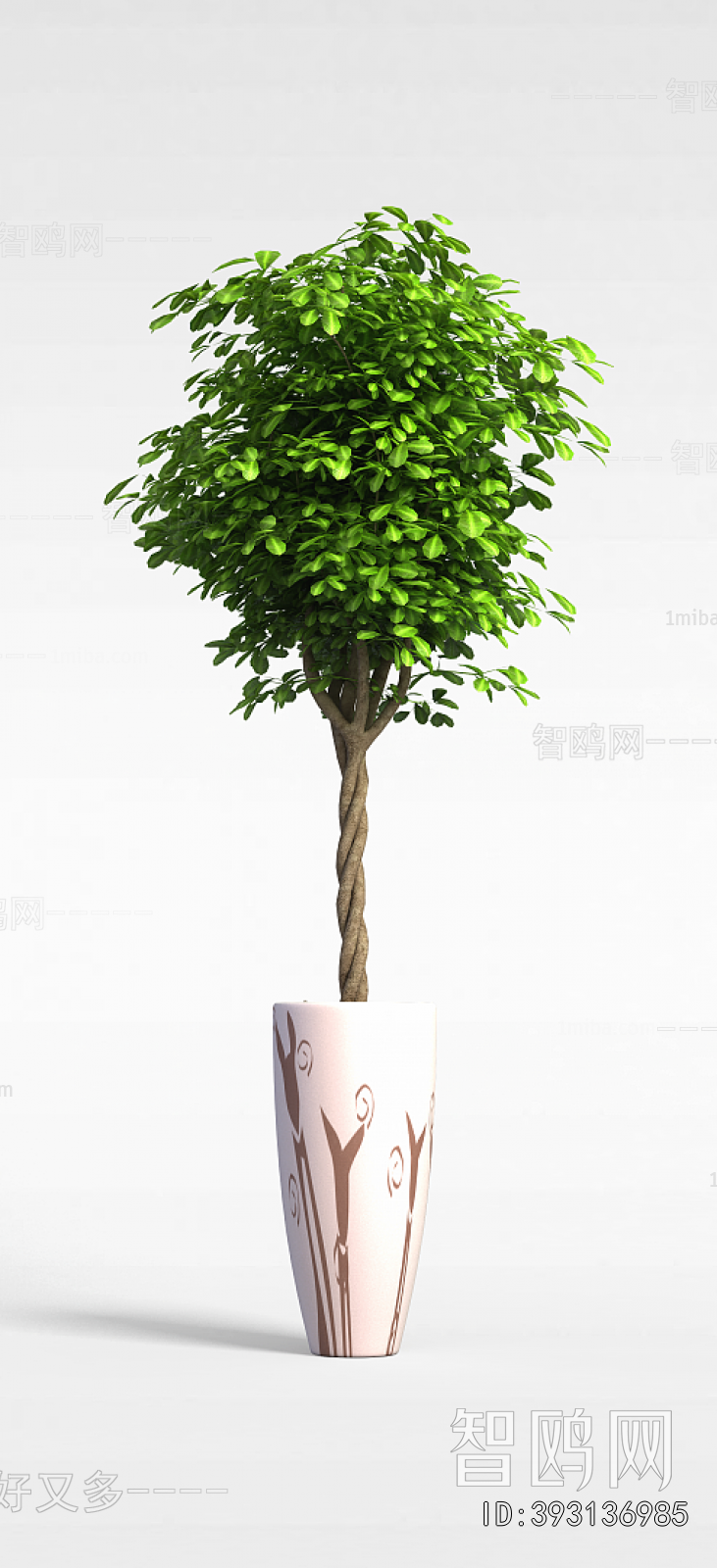 Modern Ground Green Plant Potted Plants