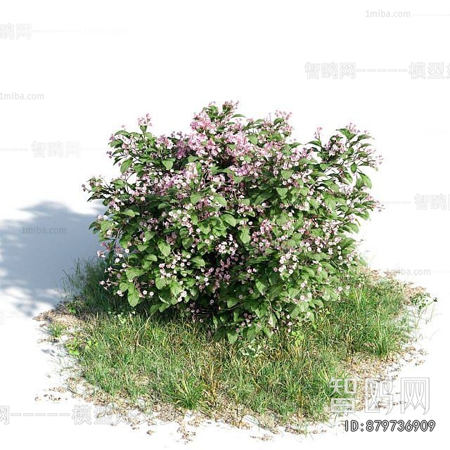 Modern Shrubbery