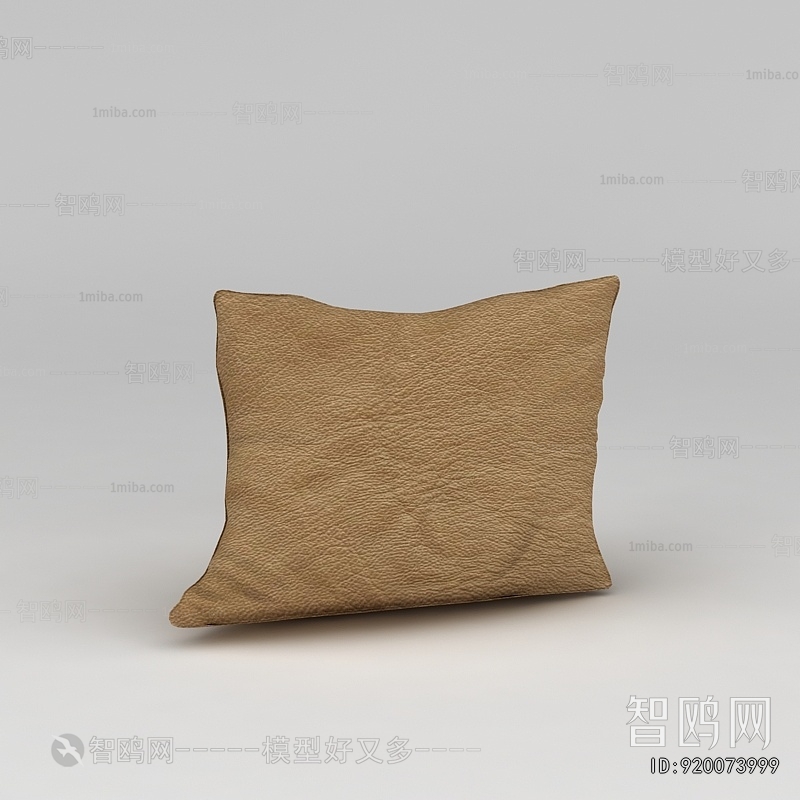 Modern Pillow