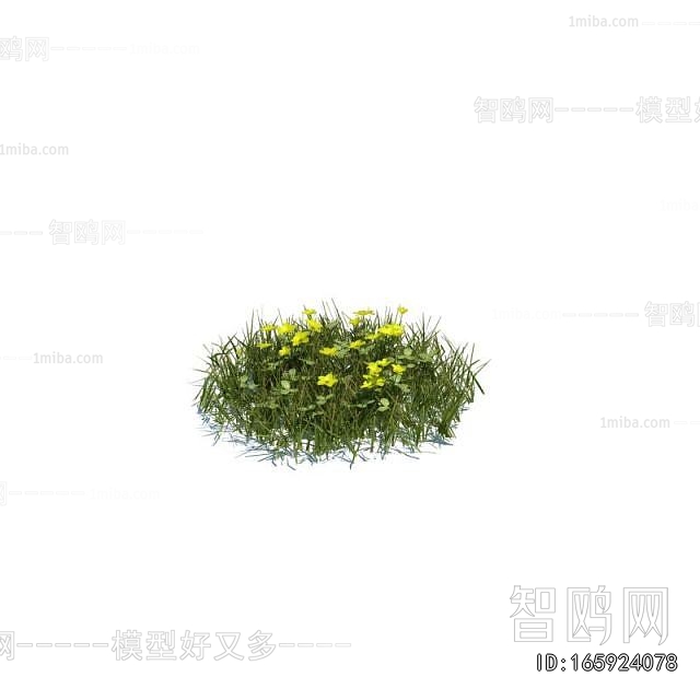Modern Flowers And Grass