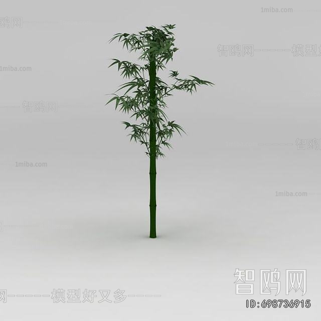 Modern Bamboo
