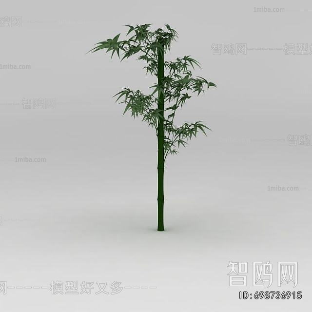 Modern Bamboo