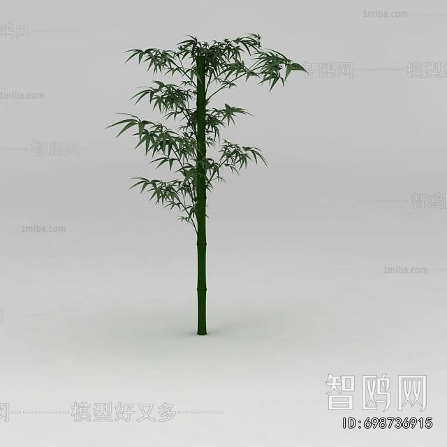 Modern Bamboo