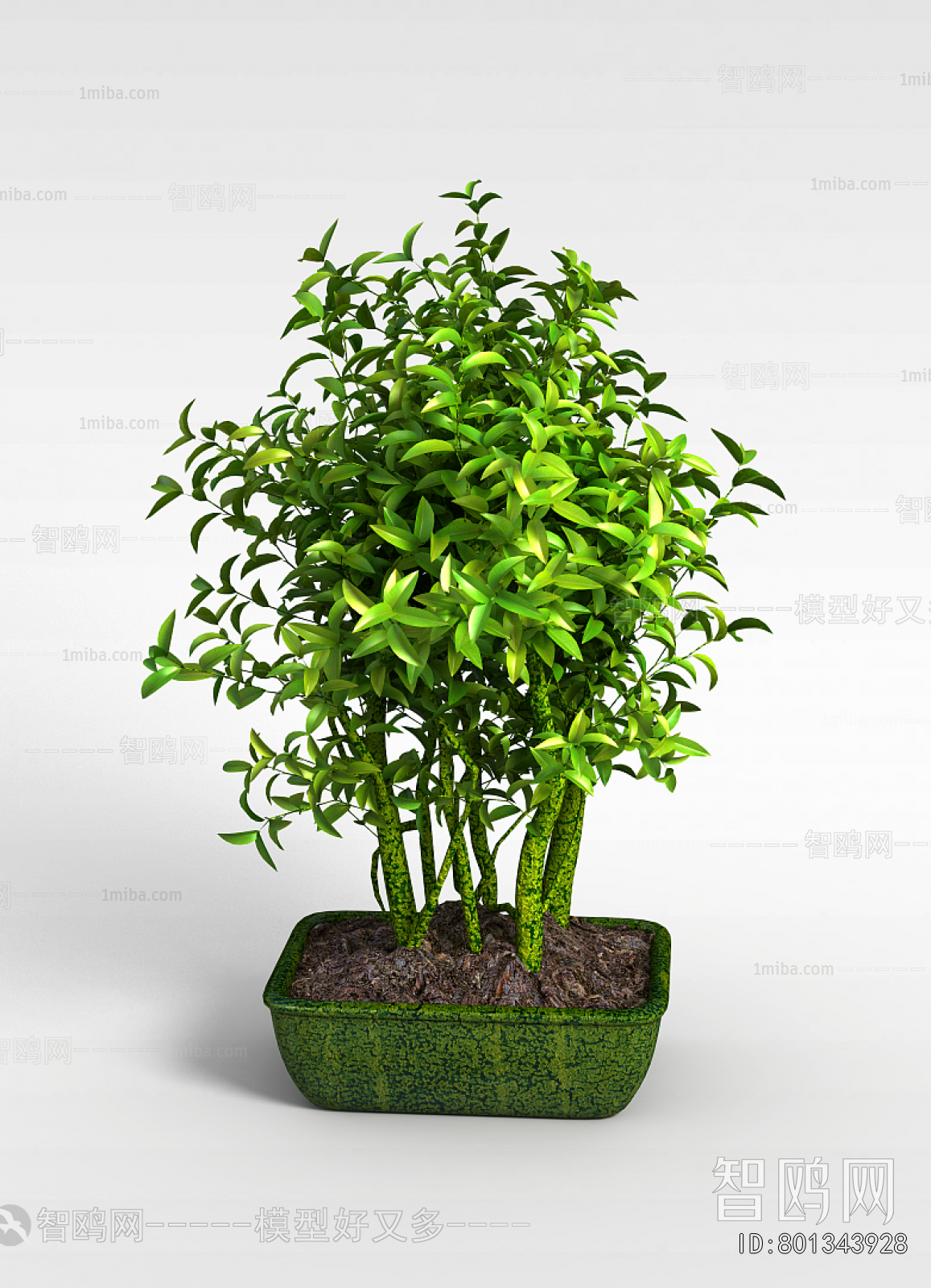 Modern Potted Green Plant