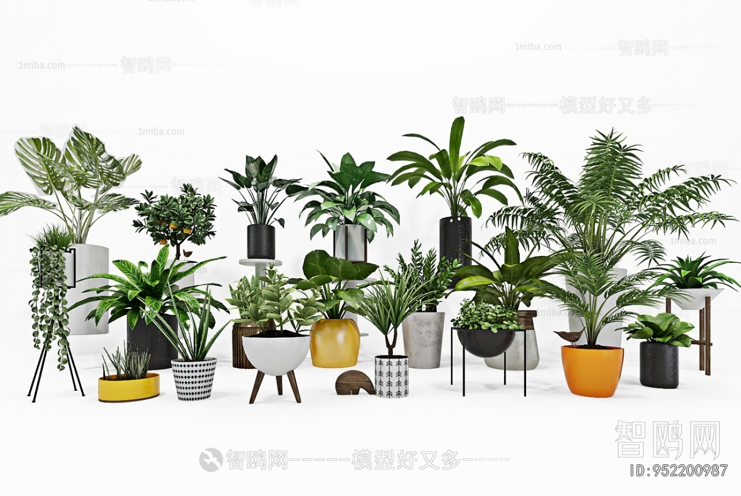 Modern Potted Green Plant