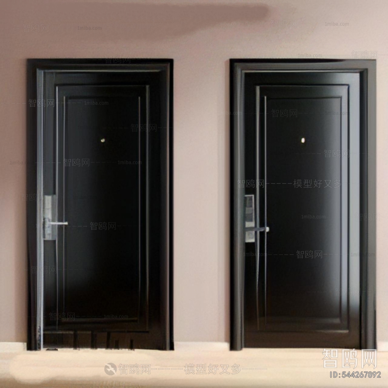 Modern Entrance Door