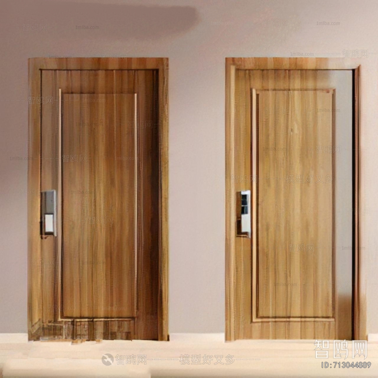 Modern Entrance Door