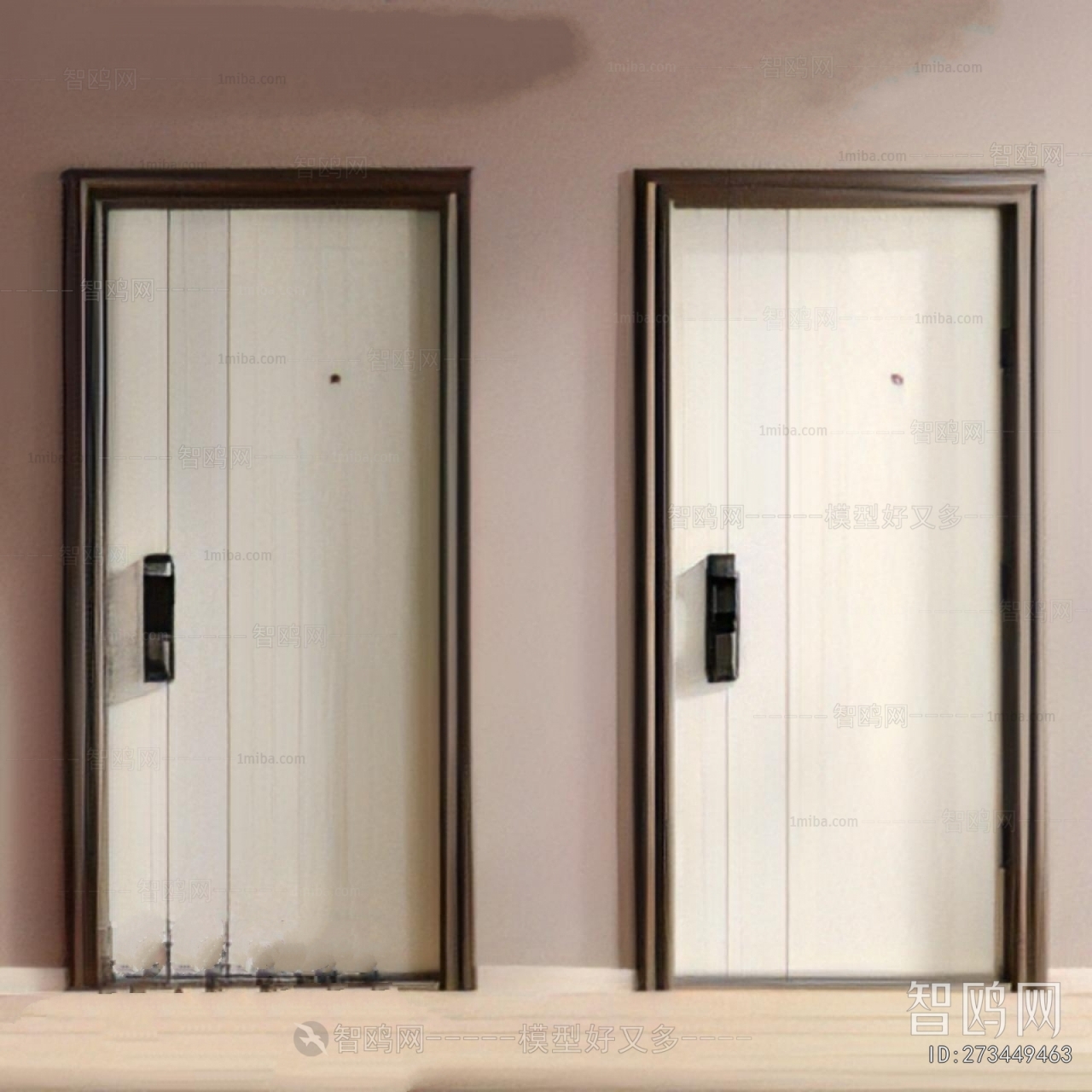 Modern Entrance Door