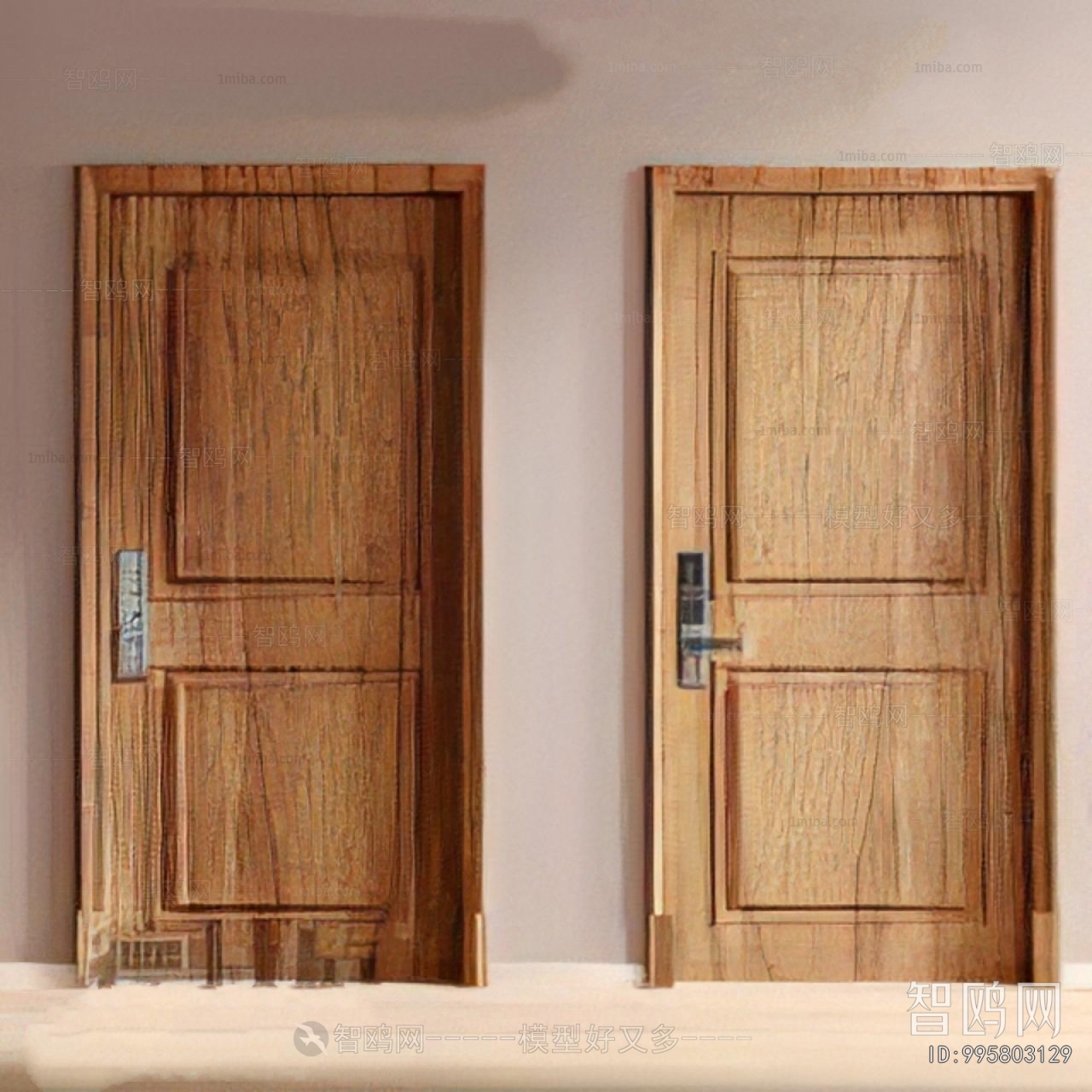 Modern Entrance Door