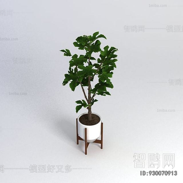 Modern Ground Green Plant Potted Plants