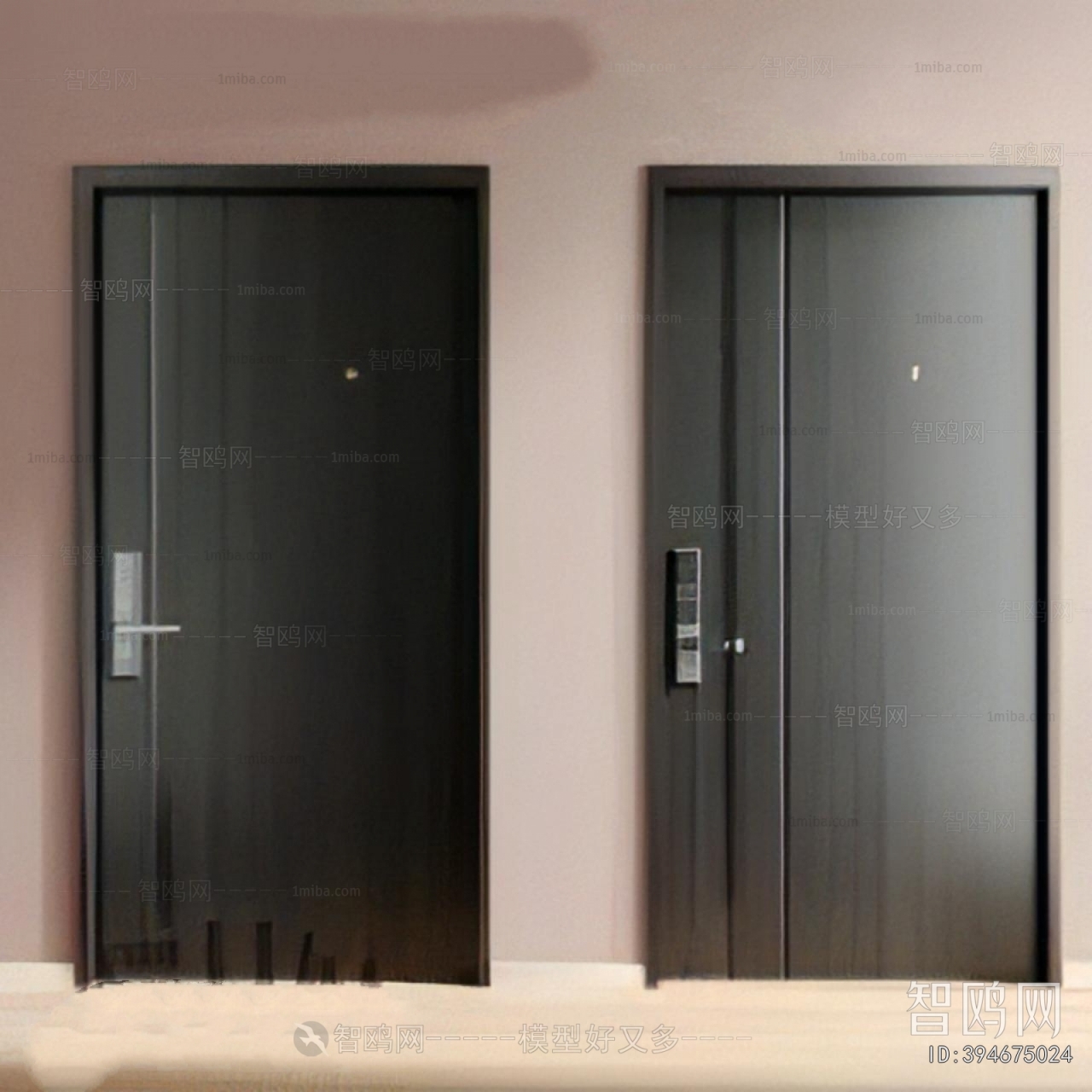 Modern Entrance Door