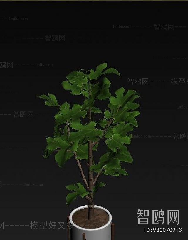 Modern Ground Green Plant Potted Plants
