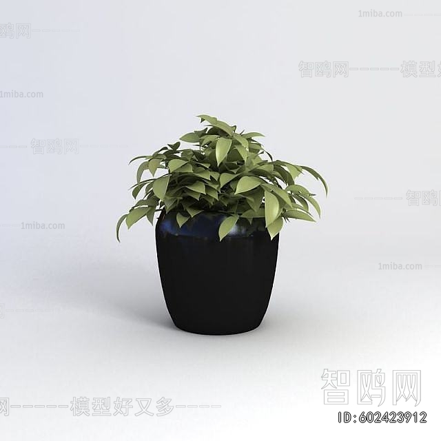 Modern Potted Green Plant