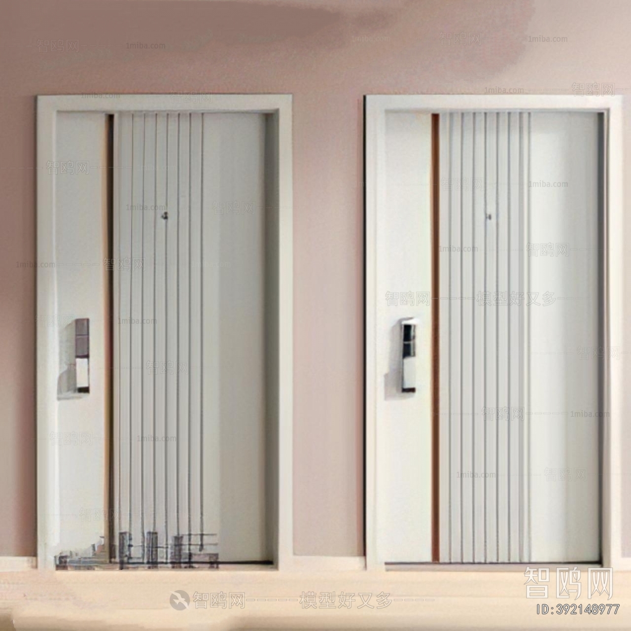 Modern Entrance Door