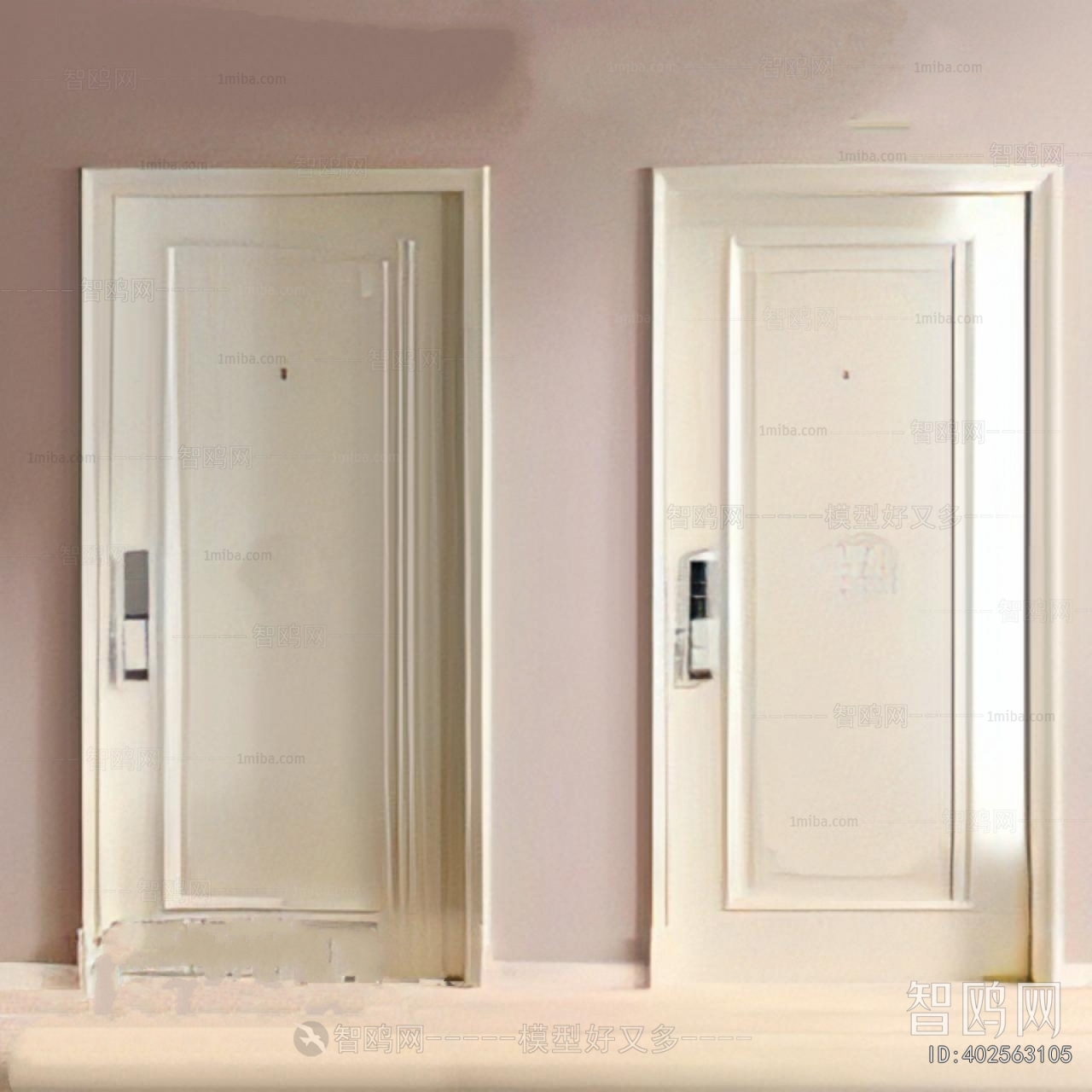 Modern Entrance Door