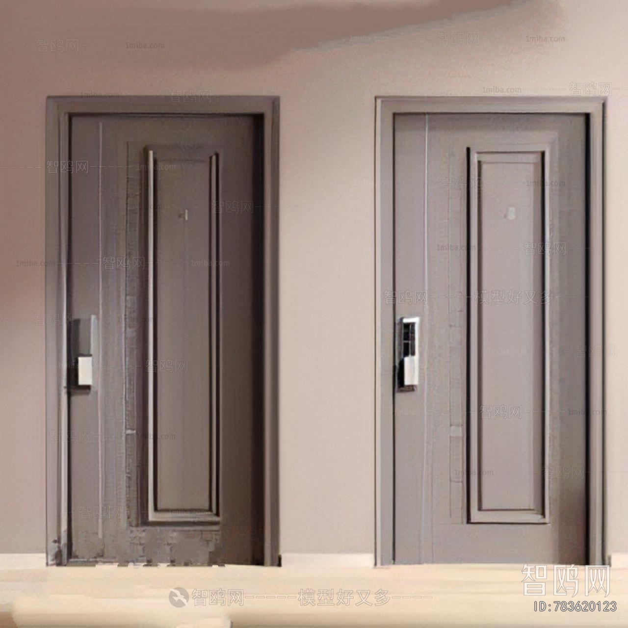 Modern Entrance Door