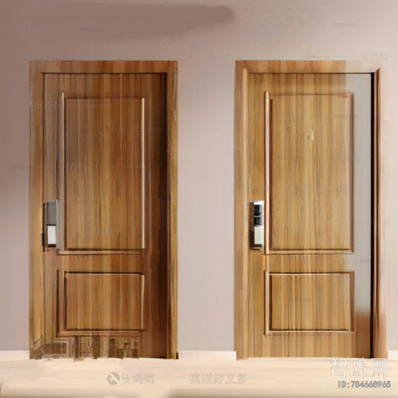 Modern Entrance Door