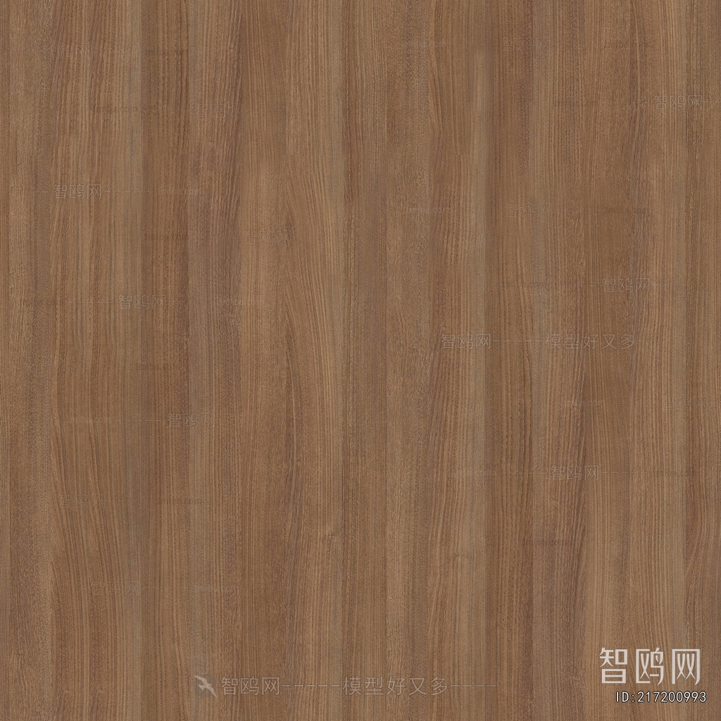 Wood Texture