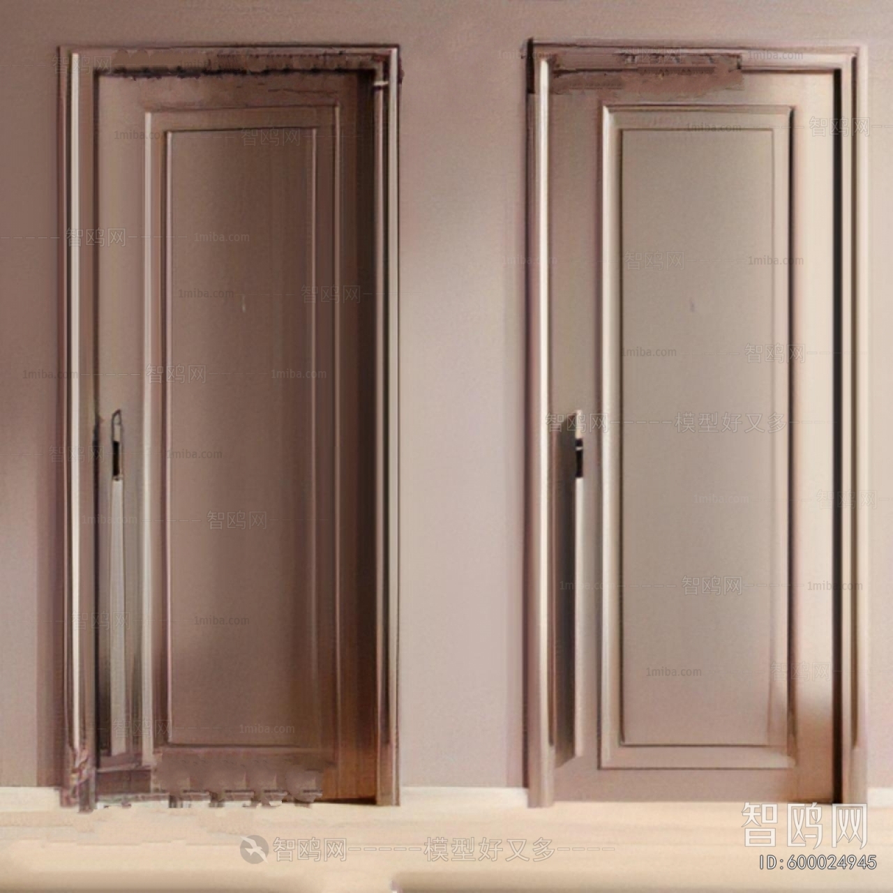 Modern Entrance Door