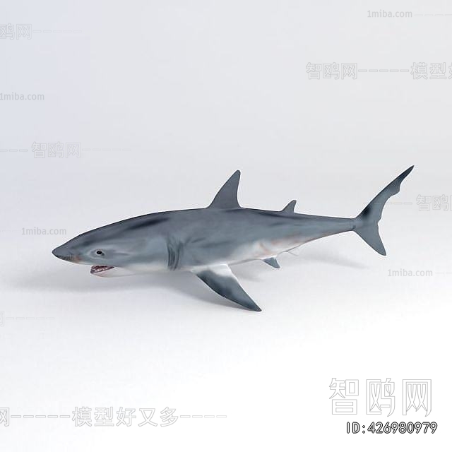 Modern Aquatic Animals