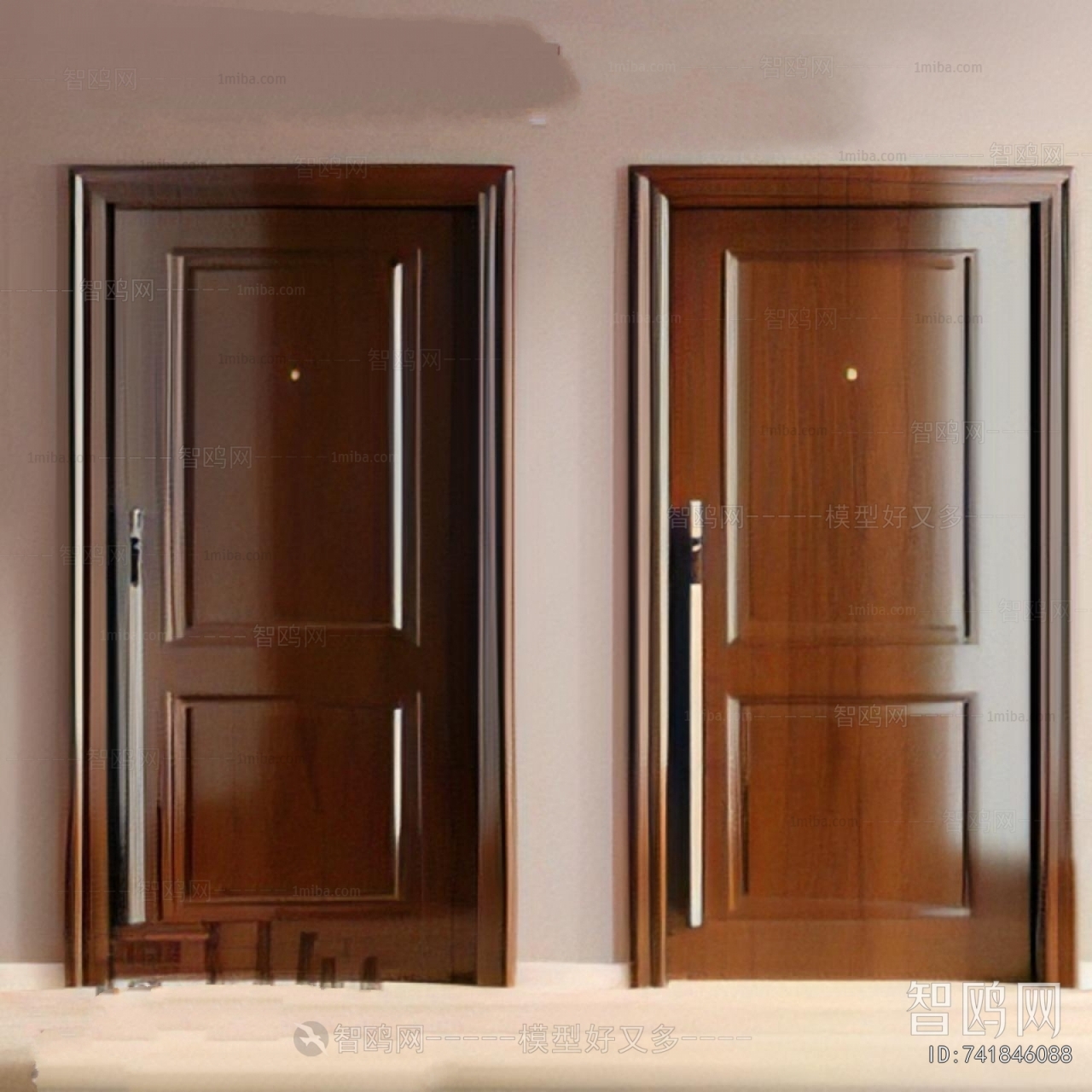 Modern Entrance Door