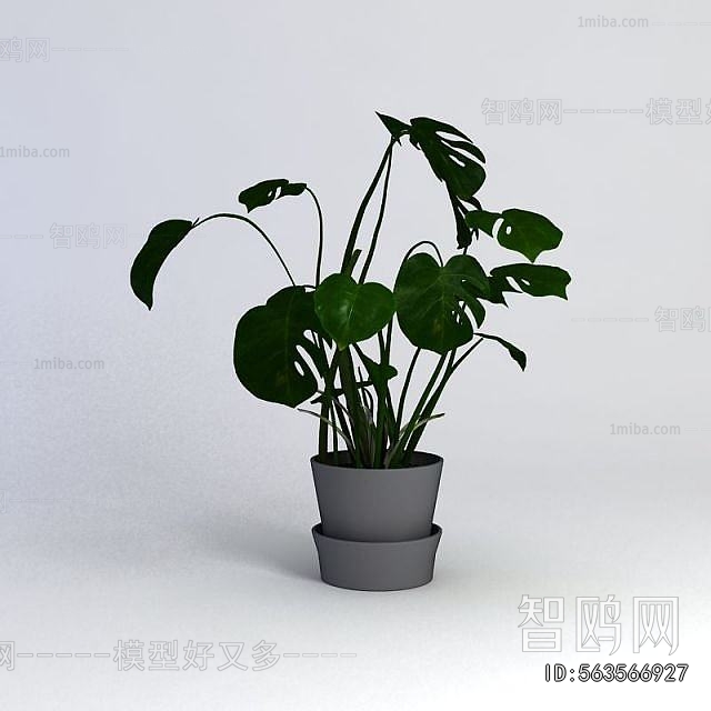 Modern Potted Green Plant