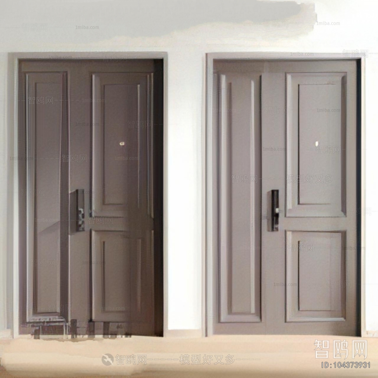 Modern Entrance Door