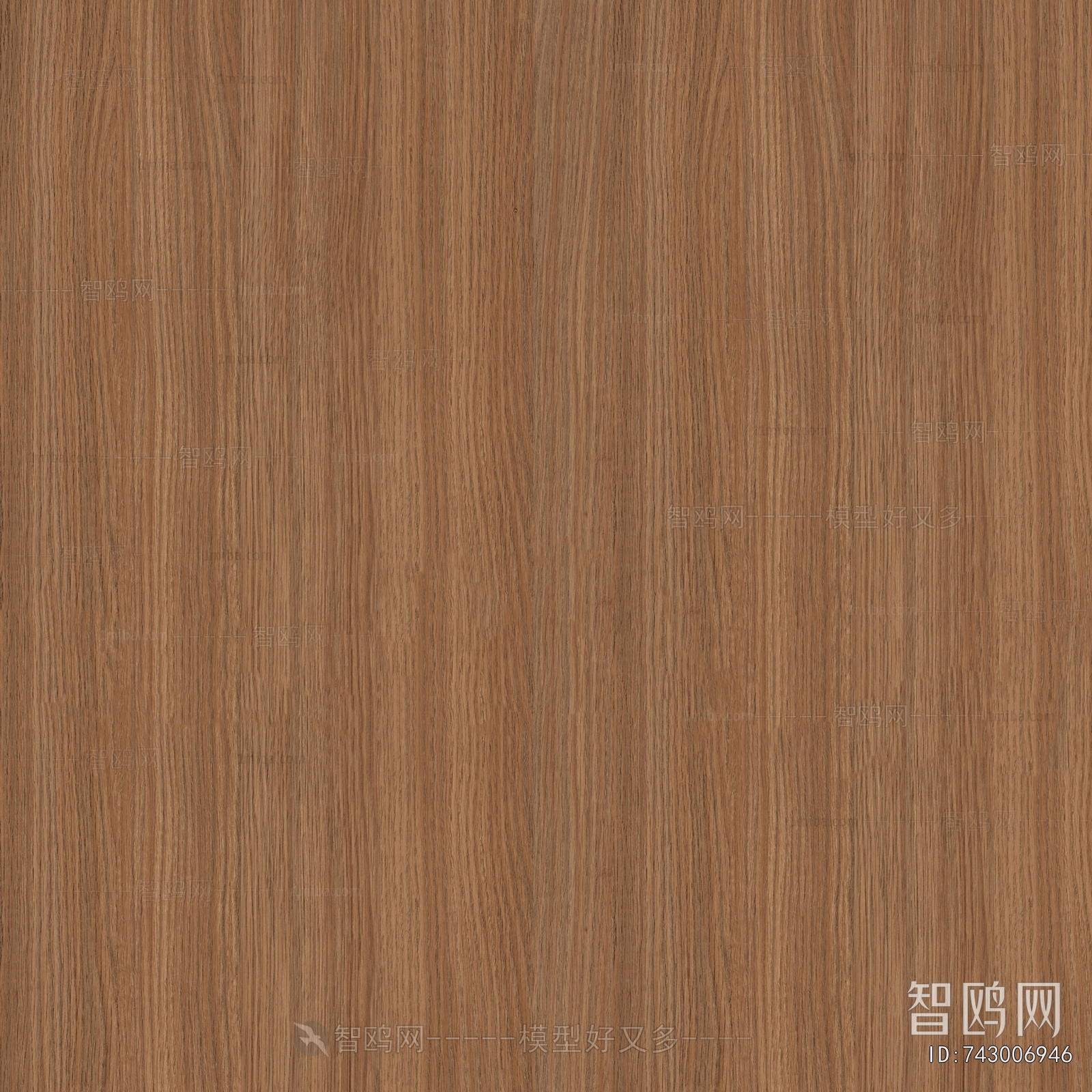 Wood Texture