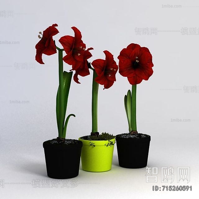 Modern Potted Green Plant