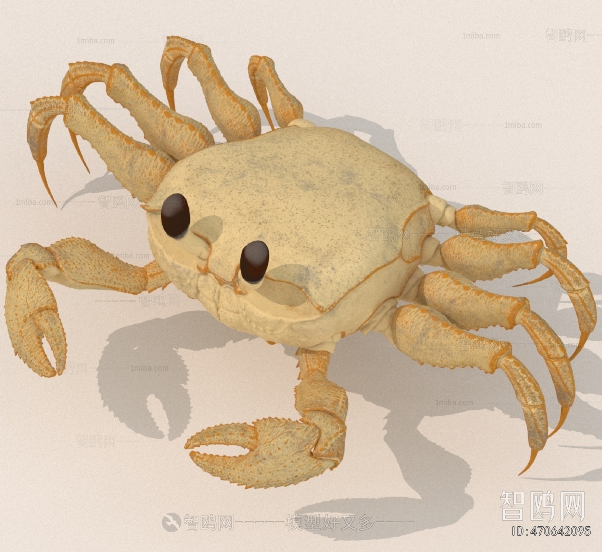 Modern Aquatic Animals